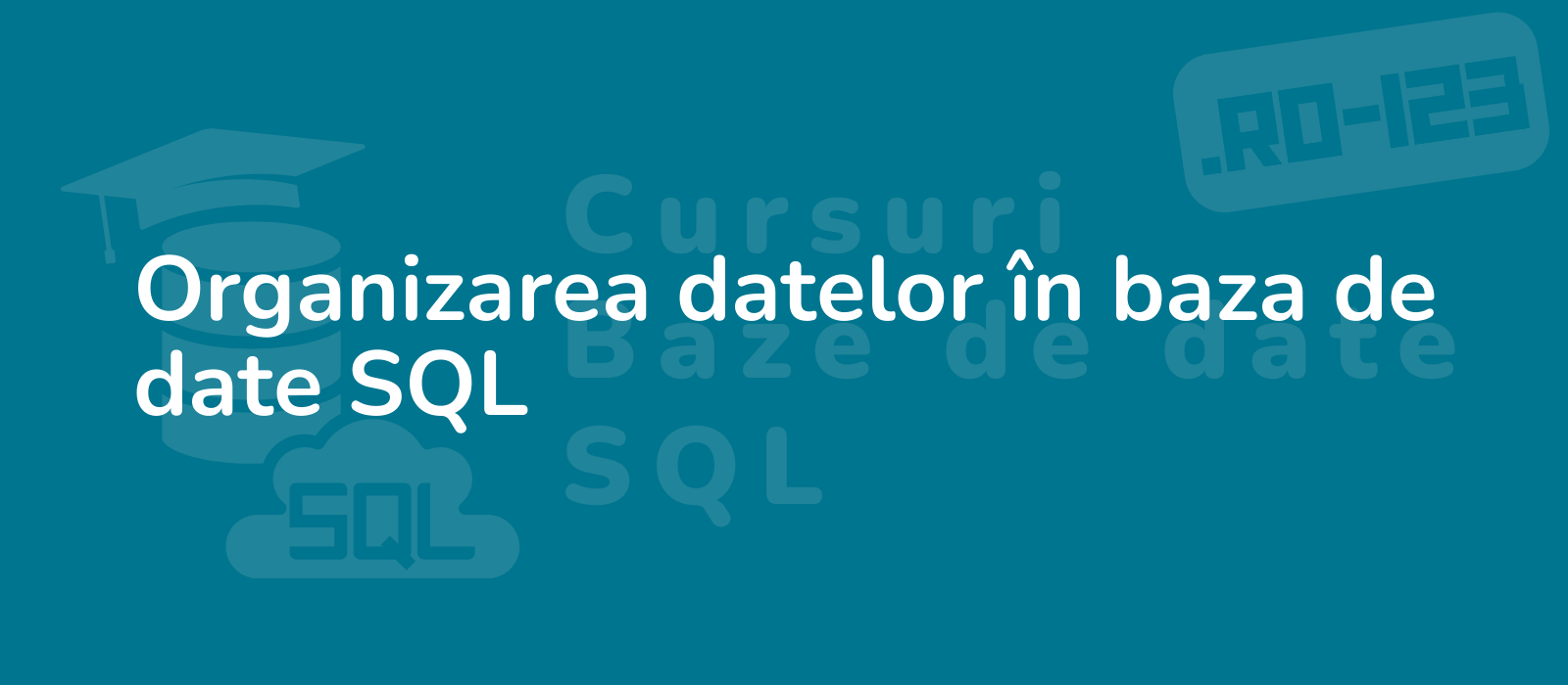 the representative image for the title organizarea datelor in baza de date sql could be described as professional database management with sql showcasing organized data structure clarity and efficiency